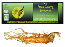 ginseng